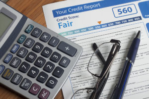 Credit report print out